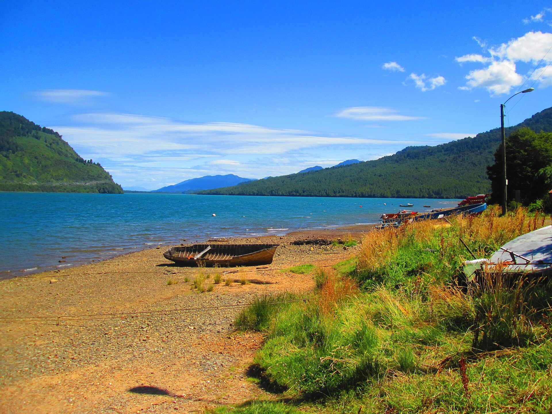 Forest and fjord water near Puyuhuapi