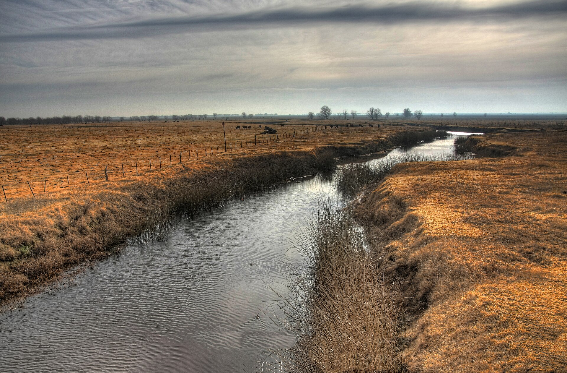Open grassland and broad sky across the Argentine Pampas