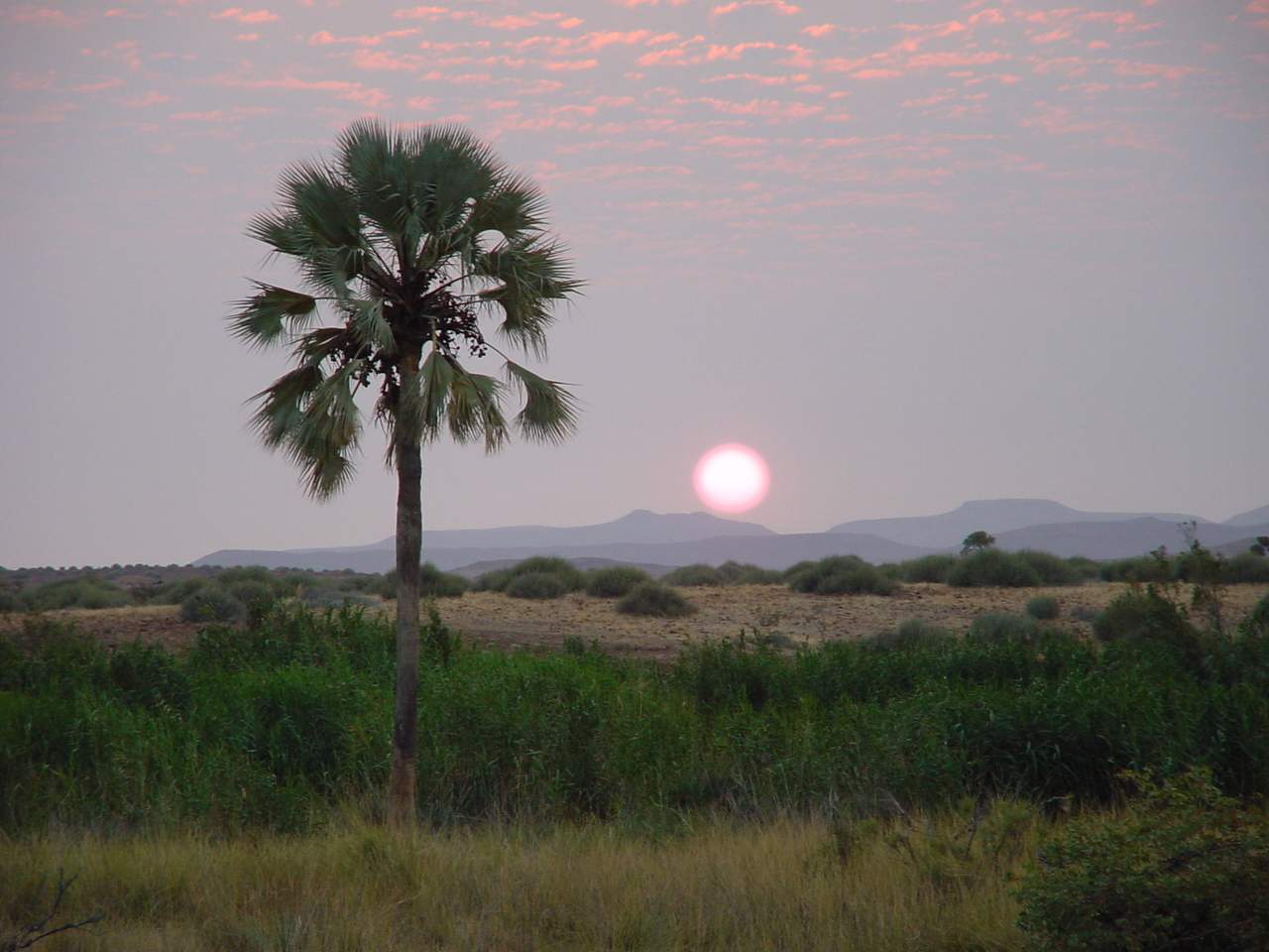Sunset over the rocky wilderness near Palmwag