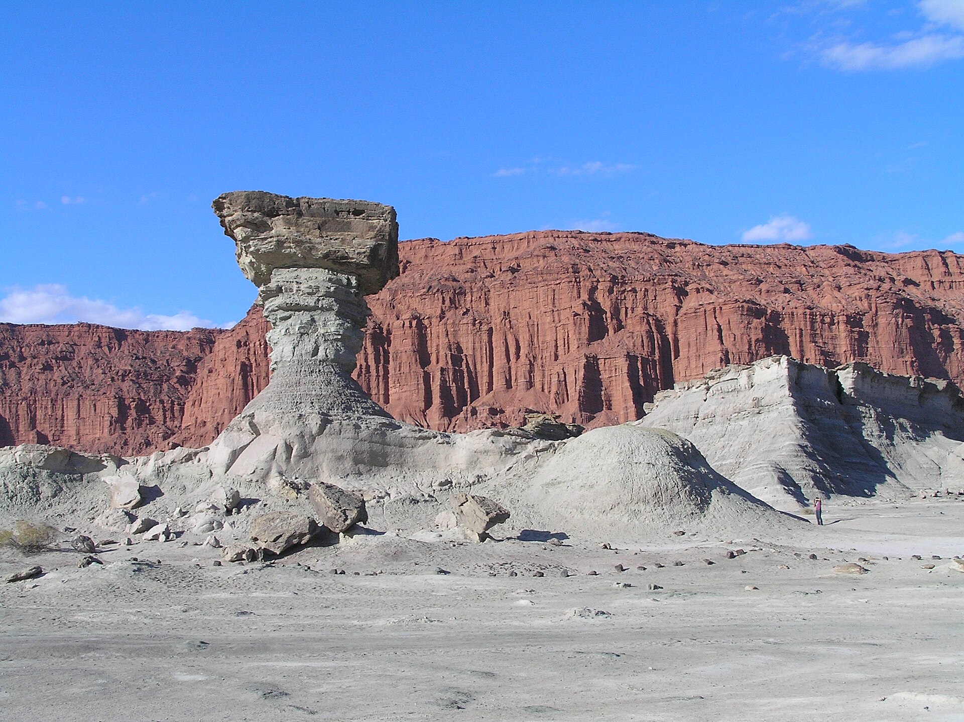 Pale desert formations in Ischigualasto Provincial Park