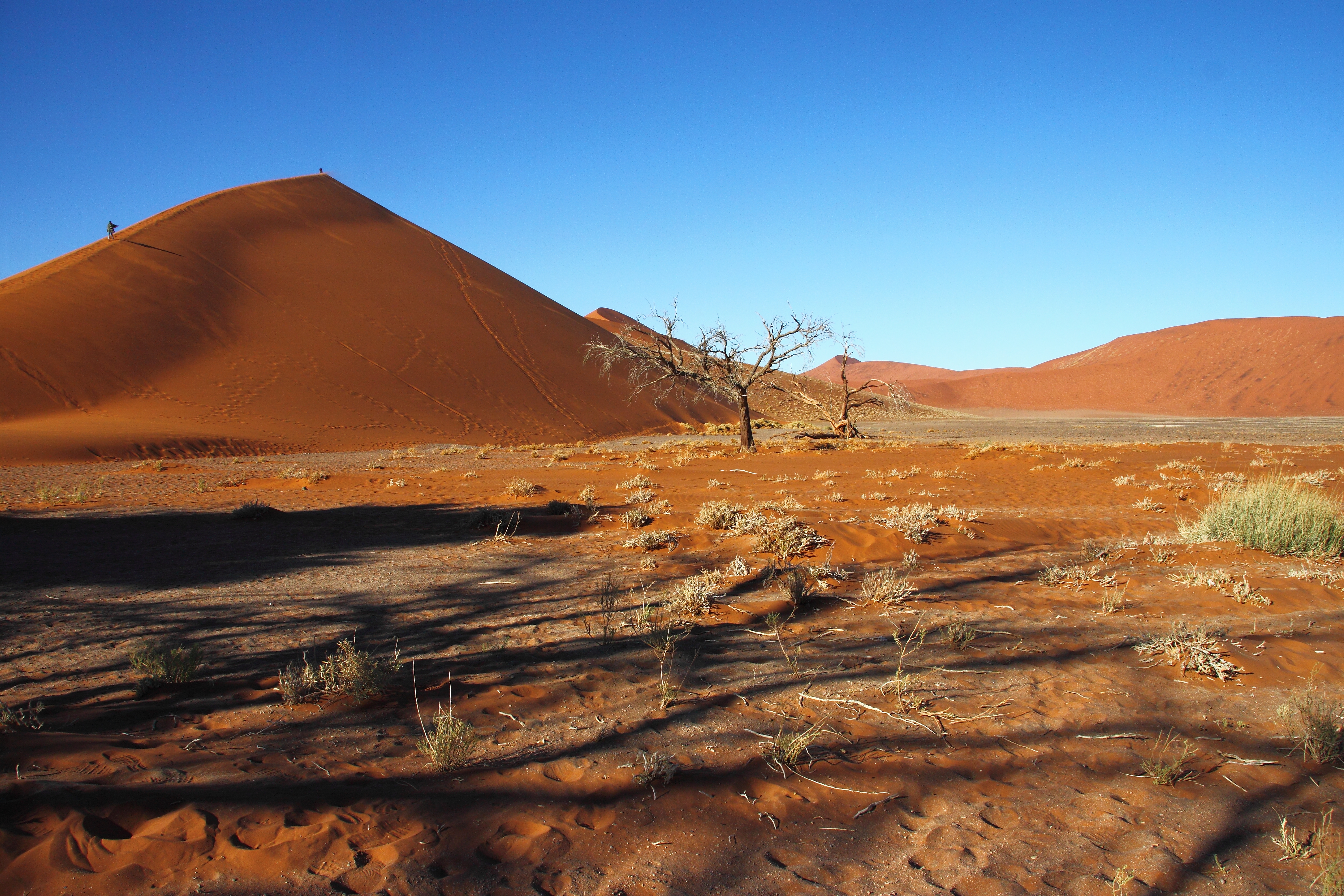 Sossusvlei dunes in Namibia