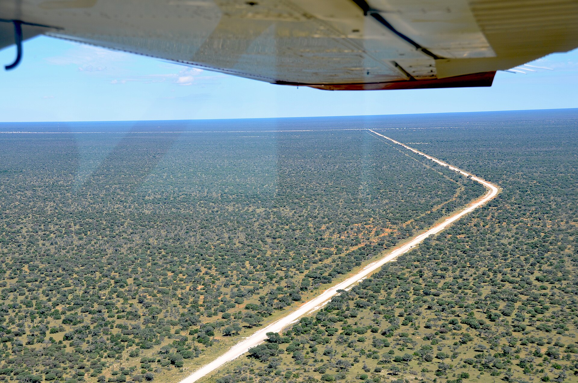 A gravel road through the open Omaheke landscape