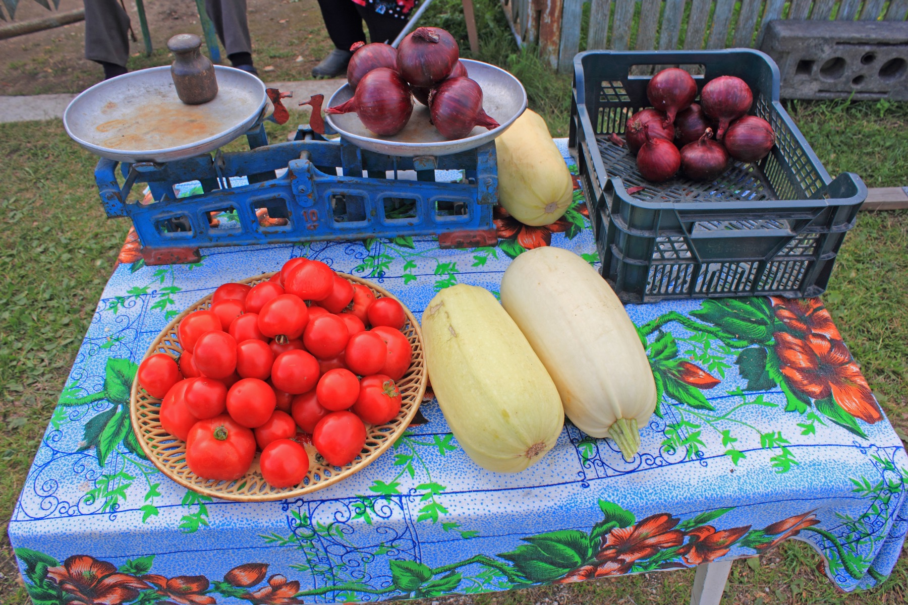 Onion Road food stall near Lake Peipsi in Estonia